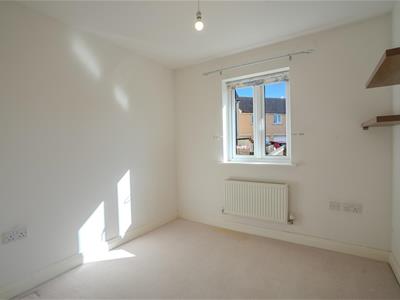 Picture 13